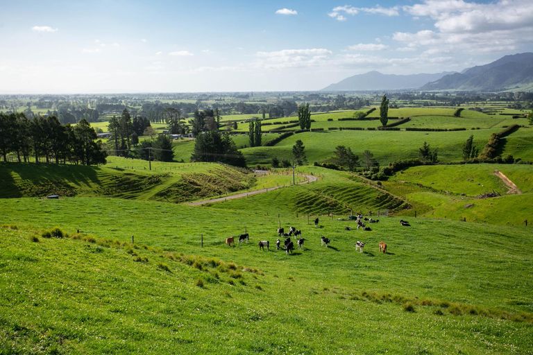 Photo of property in 166b Te Tuhi Road, Okauia, Matamata, 3471