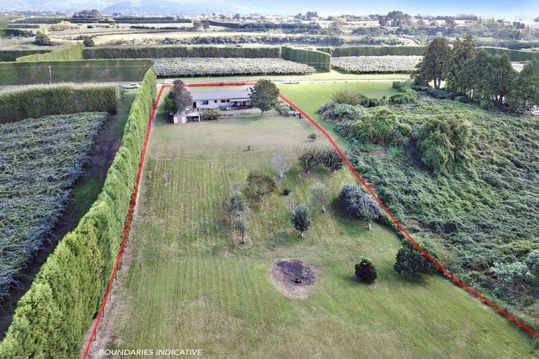 Photo of property in 69 Strang Road, Te Puke, 3186