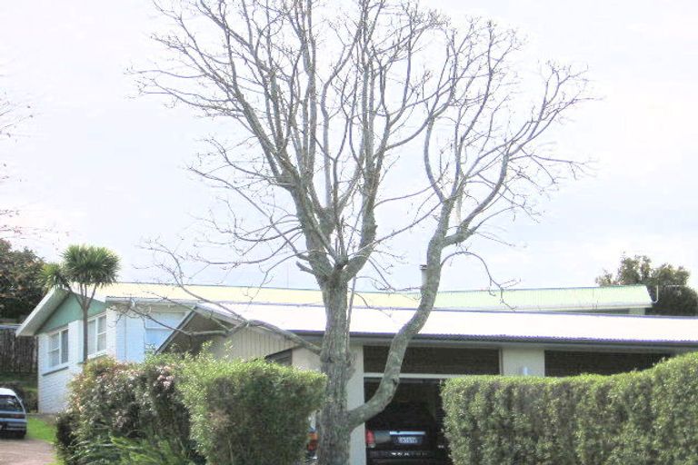 Photo of property in 23 Highfield Crescent, Brookfield, Tauranga, 3110