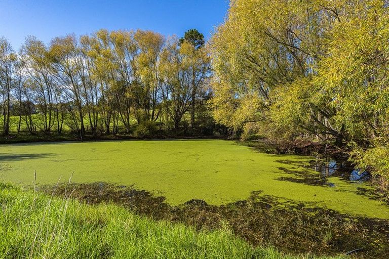 Photo of property in 228 Petley Road, Paparoa, 0571