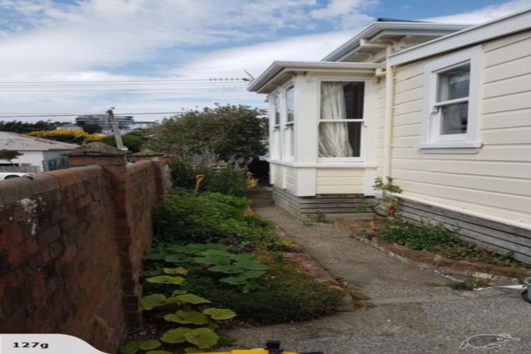 Photo of property in 96 Daniell Street, Newtown, Wellington, 6021