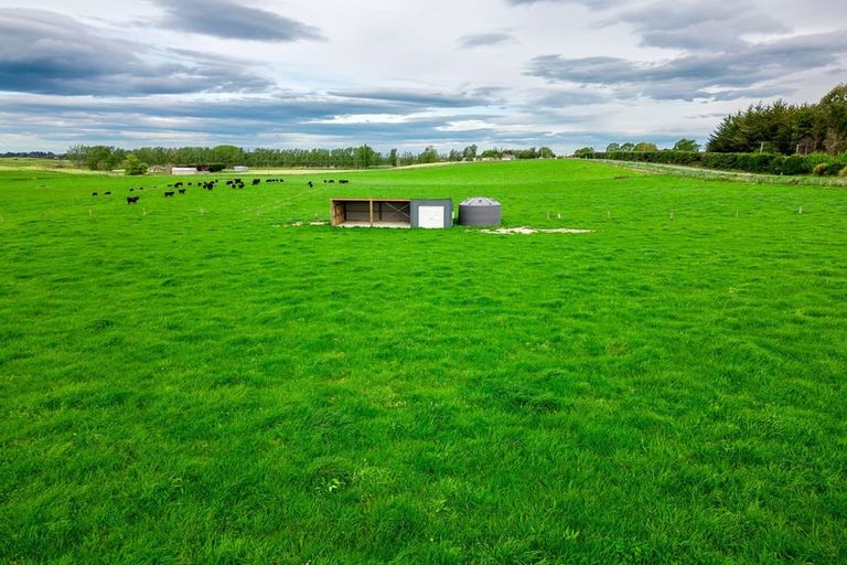 Photo of property in 38 Whitneys Road, Waimate, 7978