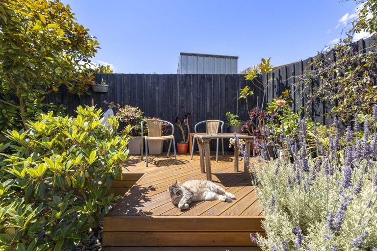 Photo of property in 11 Mary Street, Concord, Dunedin, 9018