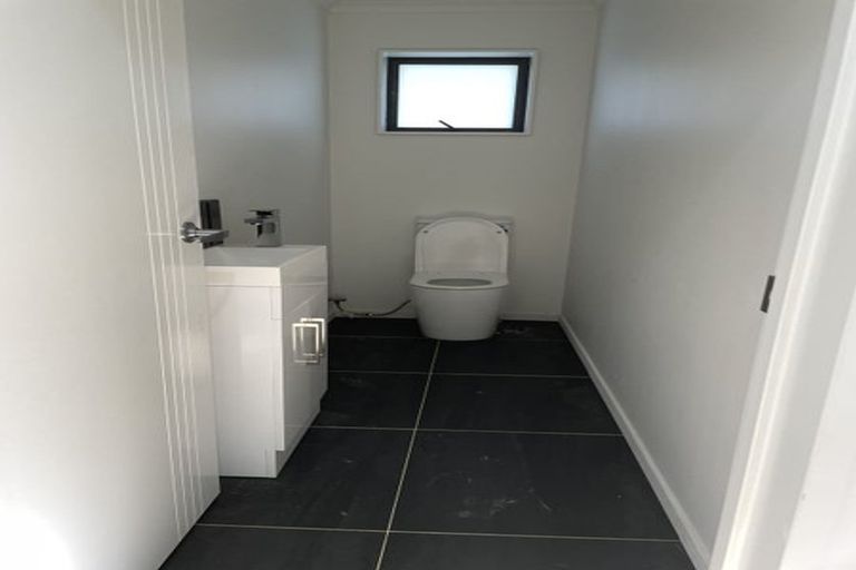 Photo of property in 56 Alberta Street, Point Chevalier, Auckland, 1022