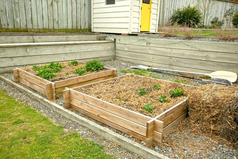 Photo of property in 6 Halston Close, Huntingdon, Ashburton, 7774