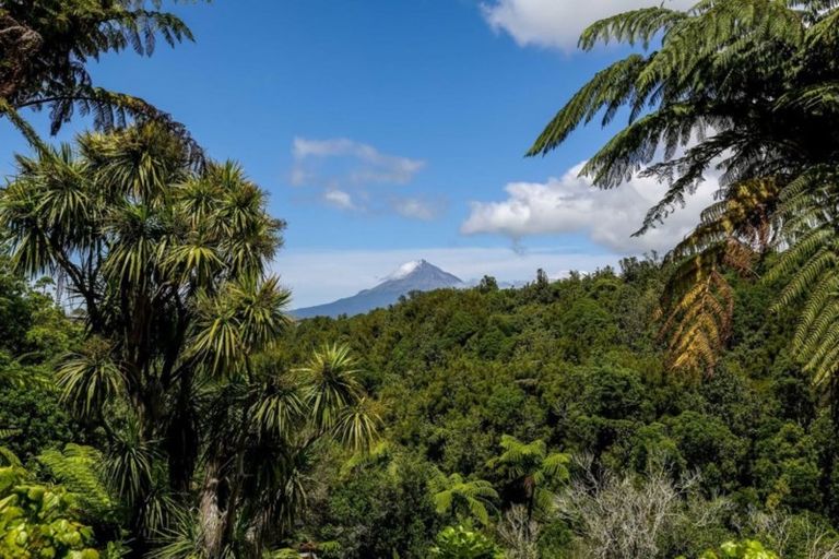 Photo of property in 212 Huatoki Street, Upper Vogeltown, New Plymouth, 4310