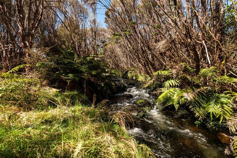 Photo of property in 3/133 Matapuna Road, Horopito, Raetihi, 4696