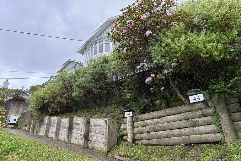 Photo of property in 44 Rakau Road, Hataitai, Wellington, 6021