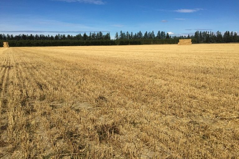 Photo of property in 80 Mount Hutt Station Road, Methven, Rakaia, 7782