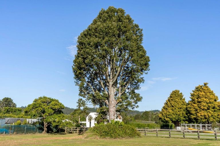 Photo of property in 524 Tairua Sh25 Road, Whangamata, 3691