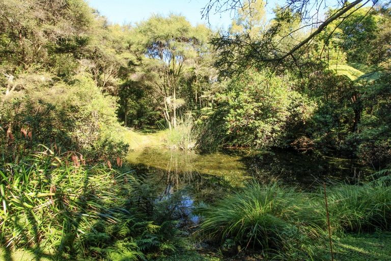 Photo of property in 1960 Waingaro Road, Waingaro, Ngaruawahia, 3793