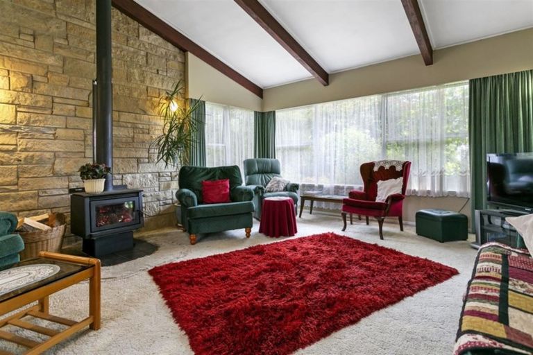 Photo of property in 143 Tirau Street, Putaruru, 3411