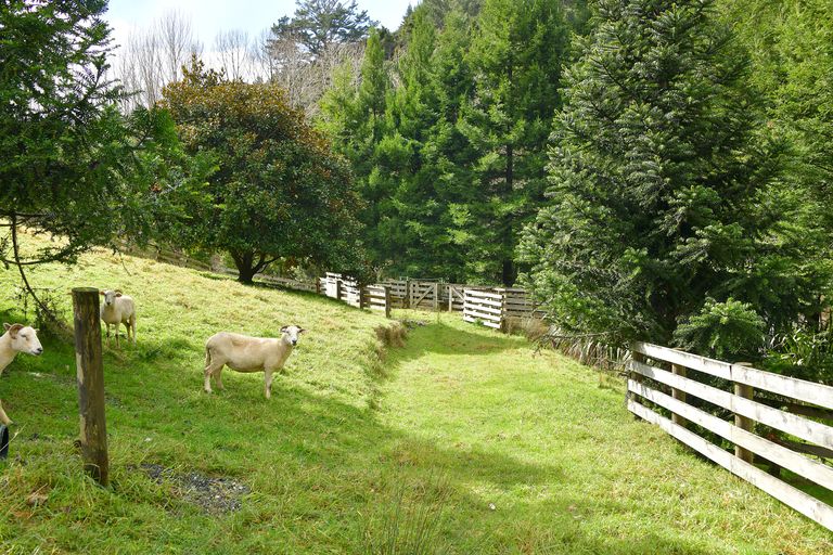Photo of property in 80 Tunnel Road, Puhoi, Warkworth, 0994