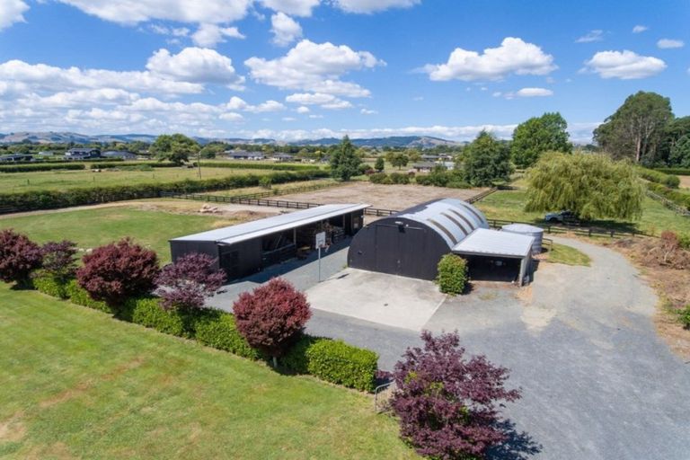 Photo of property in 48 Peake Road, Cambridge, Hamilton, 3283