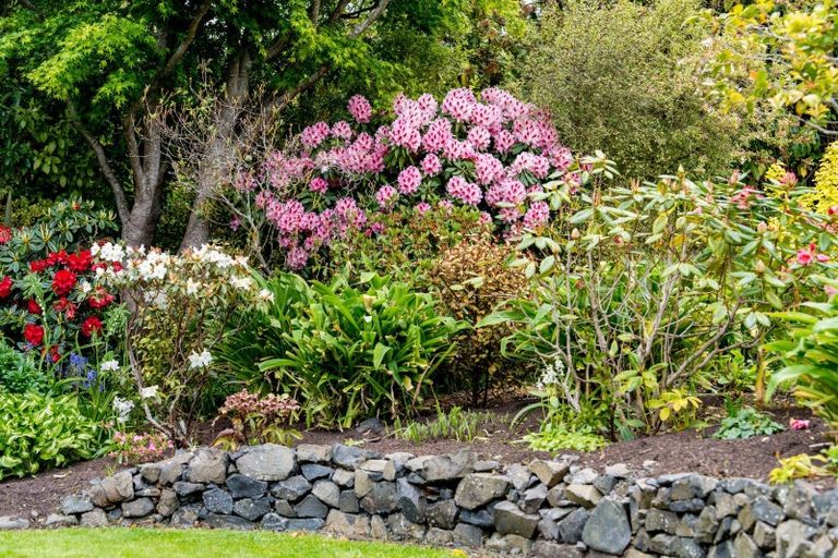 Photo of property in 249 Taieri Road, Wakari, Dunedin, 9010