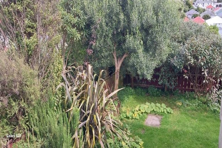 Photo of property in 15 Herald Terrace, Berhampore, Wellington, 6023