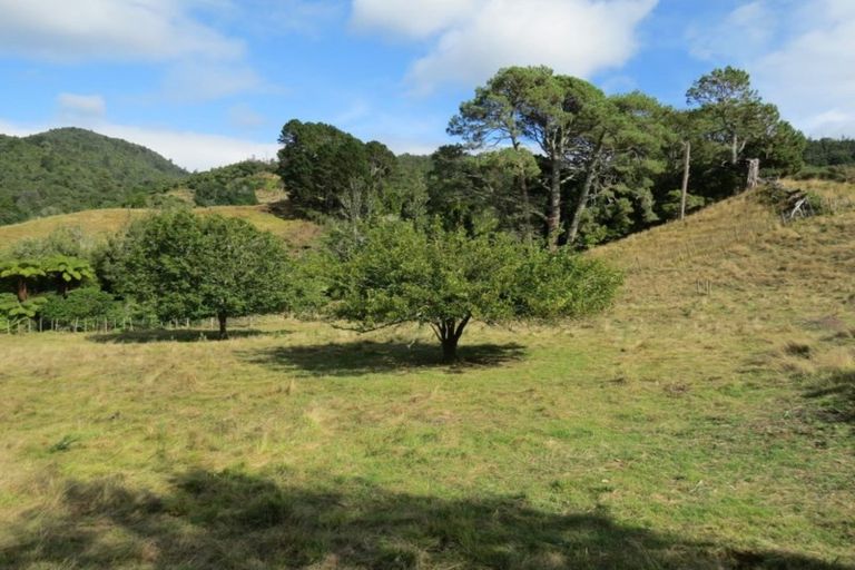 Photo of property in 260a Willoughby Road, Tahawai, Katikati, 3170