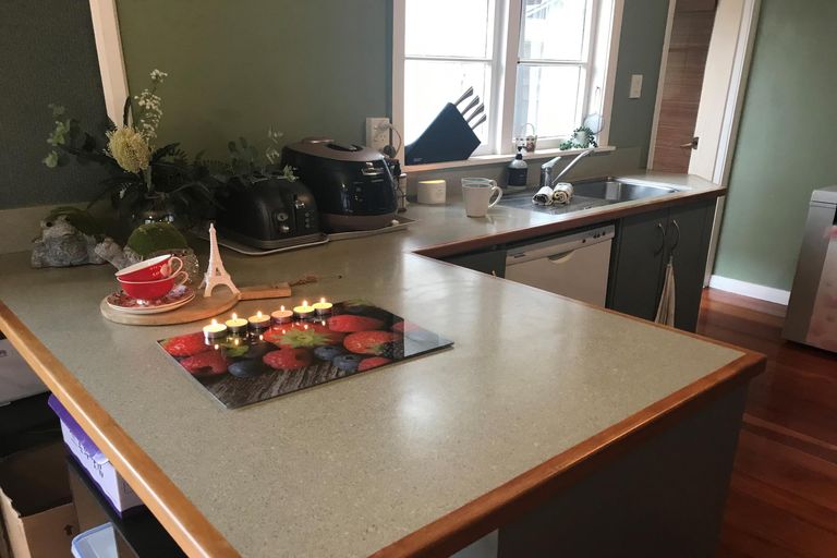 Photo of property in 19 Franklin Avenue, Hokowhitu, Palmerston North, 4410