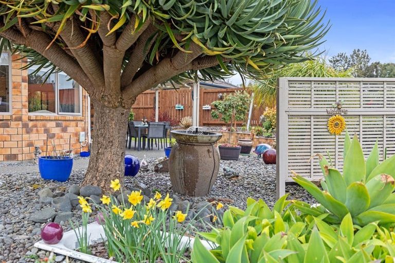 Photo of property in 87 Awaiti Place, Hairini, Tauranga, 3112