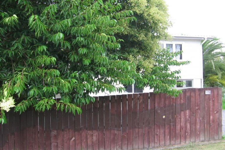 Photo of property in 12 Sel Peacock Drive, Henderson, Auckland, 0610