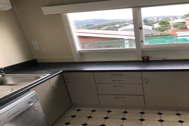 Photo of property in 38b Evans Street, Opoho, Dunedin, 9010