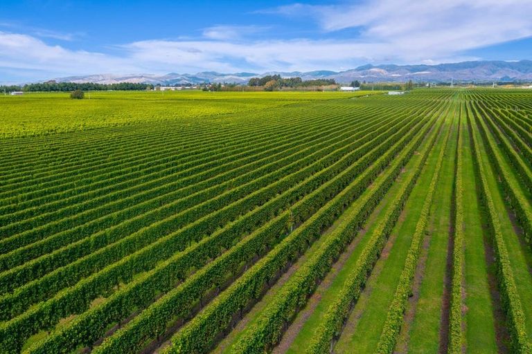 Photo of property in 196 Rapaura Road, Rapaura, Blenheim, 7273