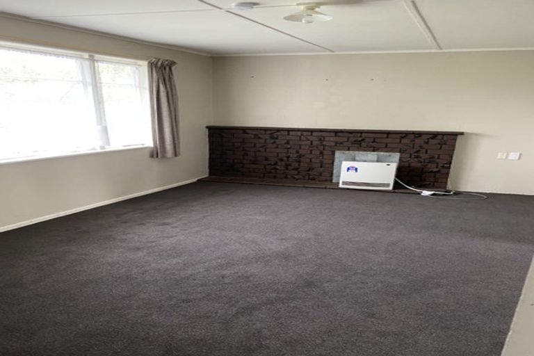 Photo of property in 249b Clarkin Road, Fairfield, Hamilton, 3214