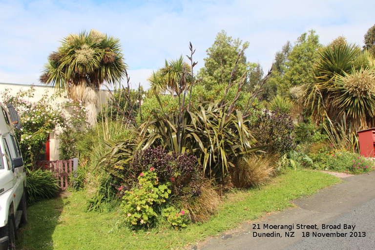 Photo of property in 21 Moerangi Street, Broad Bay, Dunedin, 9014