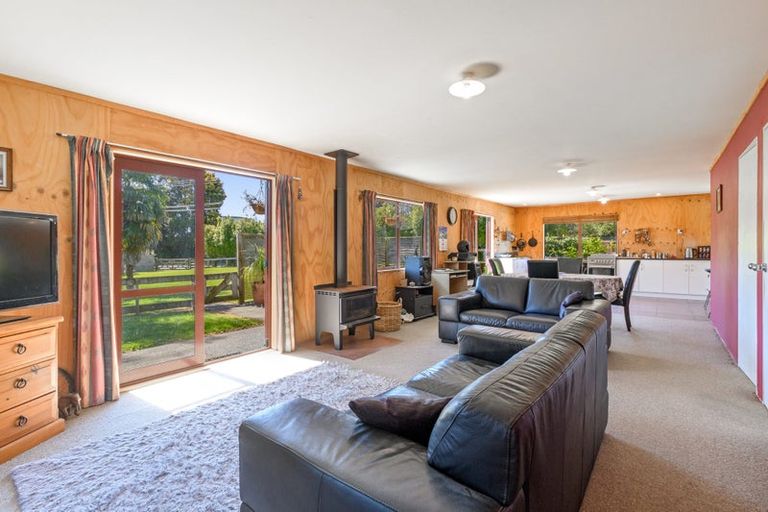 Photo of property in 249 Plummers Point Road, Whakamarama, Tauranga, 3172