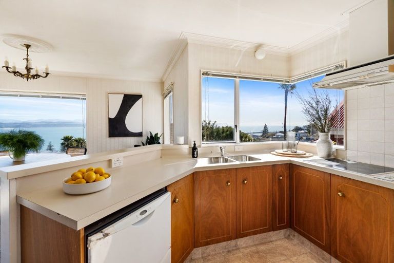 Photo of property in 19 Roslyn Road, Bluff Hill, Napier, 4110