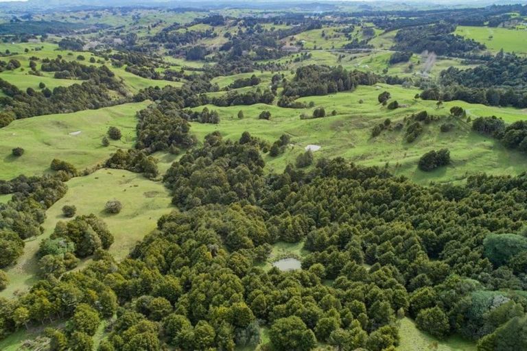 Photo of property in 122 Otuhi Road, Wheki Valley, Whangarei, 0179
