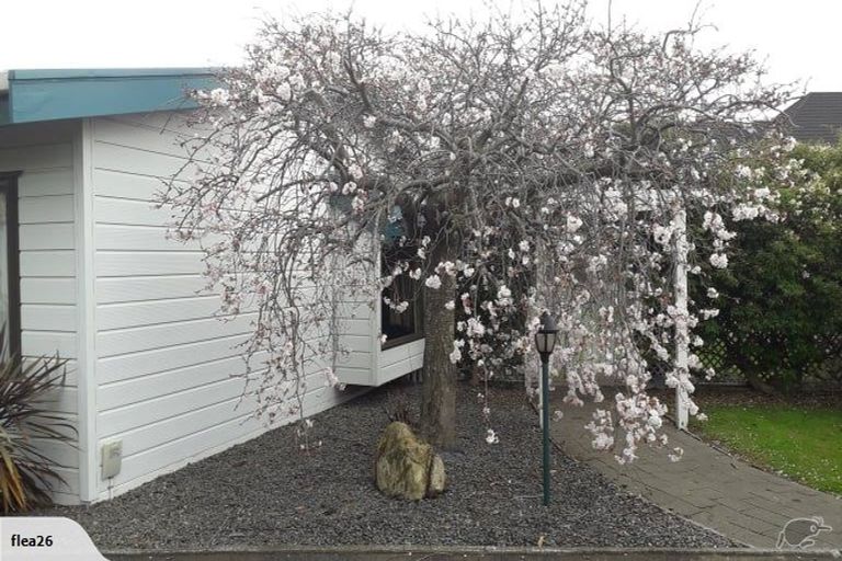 Photo of property in 5 Bullock Drive, Springvale, Whanganui, 4501