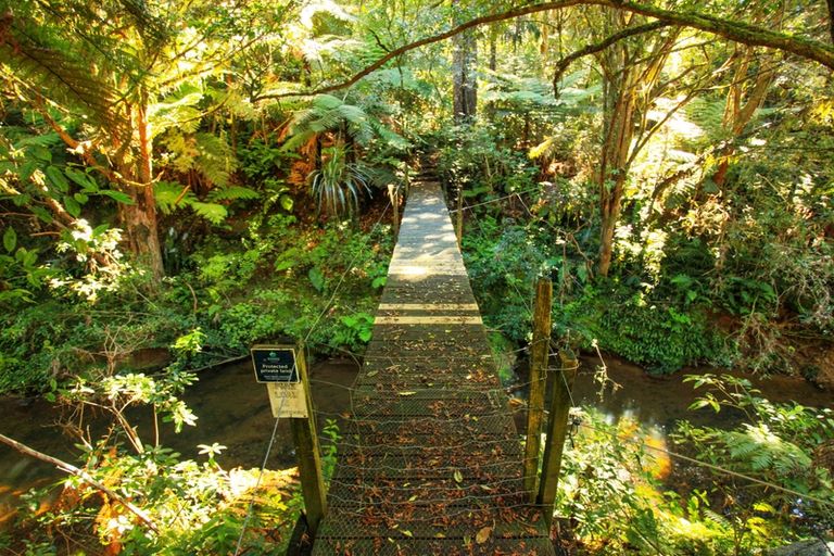 Photo of property in 1960 Waingaro Road, Waingaro, Ngaruawahia, 3793