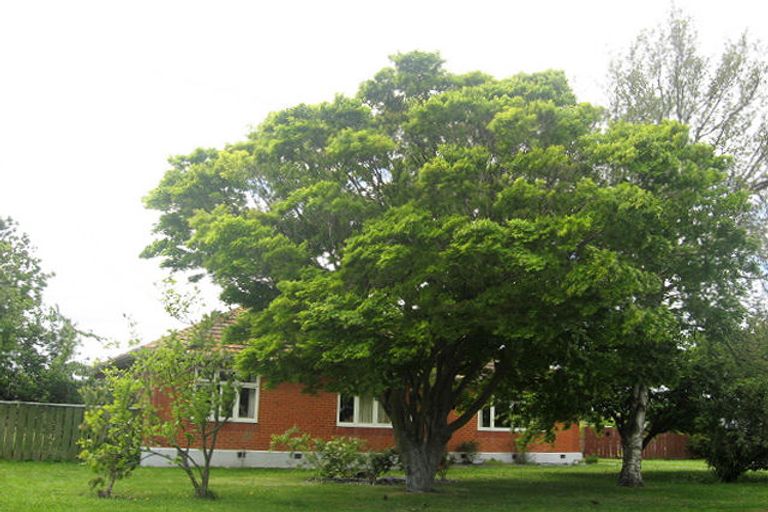 Photo of property in 62 George Street, Blenheim, 7201