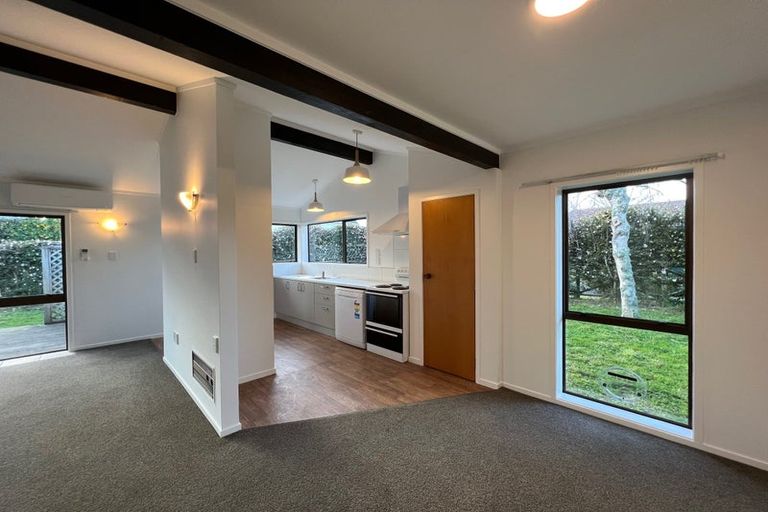 Photo of property in 8g Hardley Street, Whitiora, Hamilton, 3200
