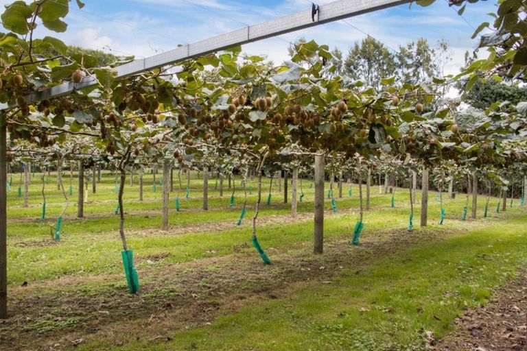 Photo of property in 416 State Highway 2, Tahawai, Katikati, 3170