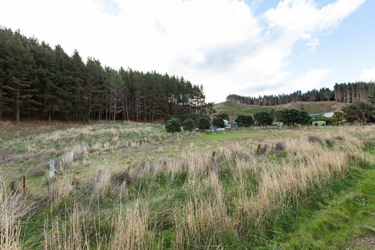 Photo of property in 489 Whangaehu Road, Porangahau, 4293