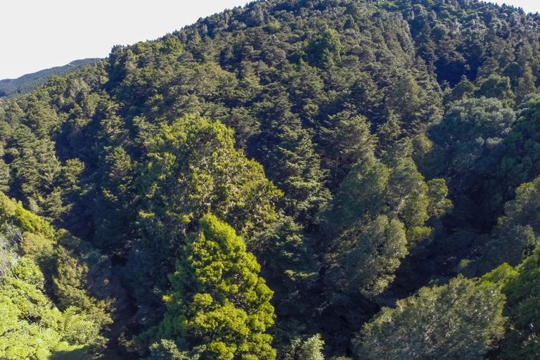 Photo of property in 1960 Waingaro Road, Waingaro, Ngaruawahia, 3793