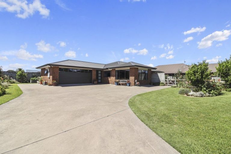Photo of property in 17 Mckenzie Place, Matamata, 3400