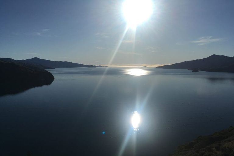 Photo of property in 1489 Te Towaka - Port Ligar Road, Admiralty Bay, French Pass, 7193