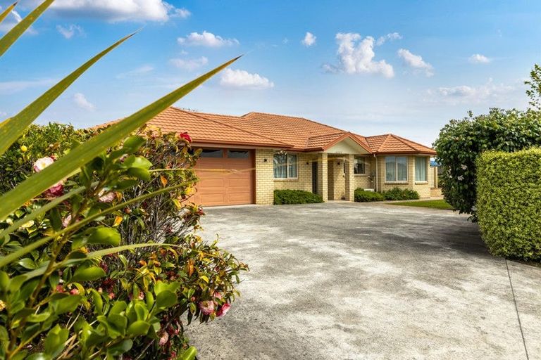 Photo of property in 30 Tremorne Avenue, Blenheim, 7201