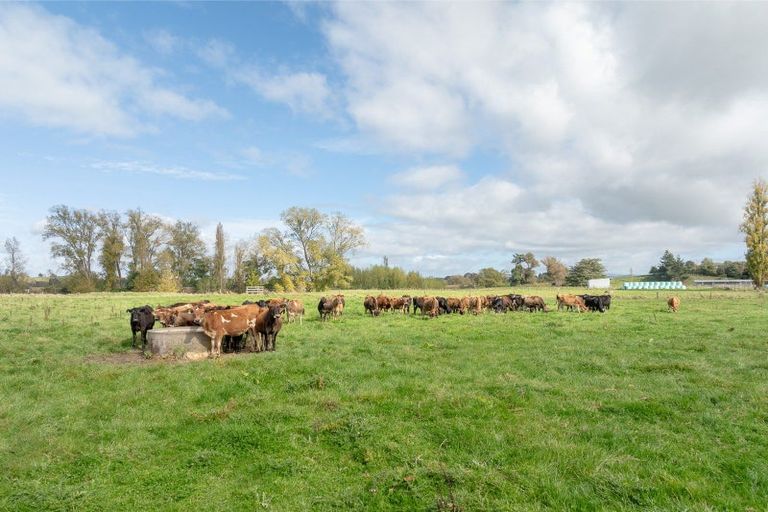 Photo of property in 1549 State Highway 3, Otorohanga, 3974