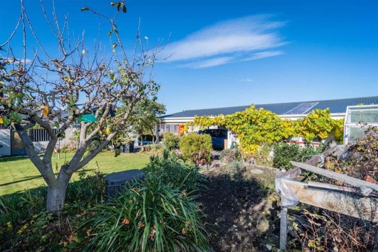 Photo of property in 62 Morgans Road, Glenwood, Timaru, 7910