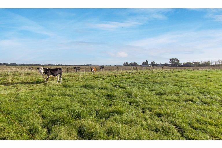 Photo of property in 91 Foley Road, Levels, Timaru, 7975