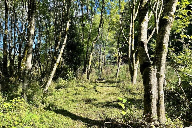 Photo of property in 754 Rutherglen Road, Marsden, Greymouth, 7872