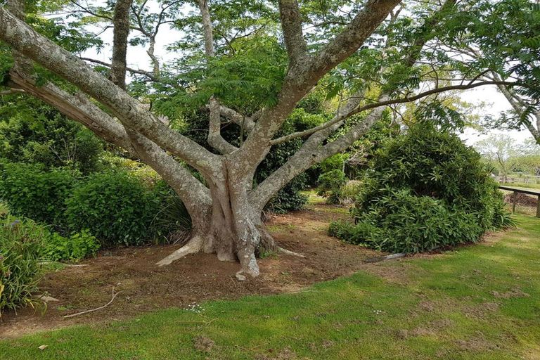 Photo of property in 65 Ruebe Road, Buckland, Pukekohe, 2677