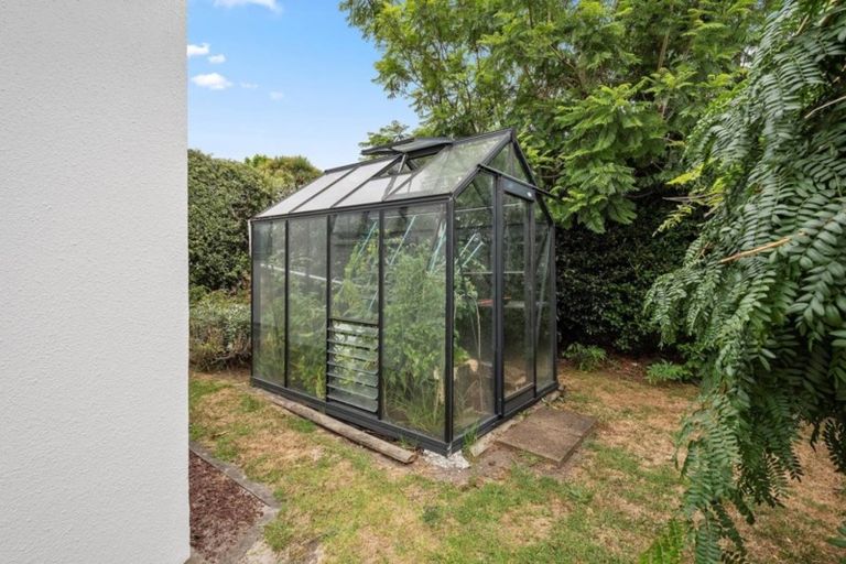 Photo of property in 16 Pampas Grove, Welcome Bay, Tauranga, 3112