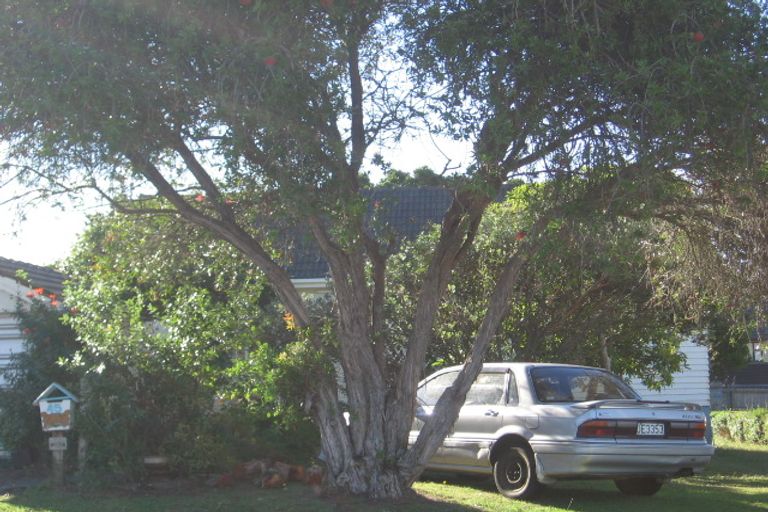 Photo of property in 45 Knights Road, Rothesay Bay, Auckland, 0630