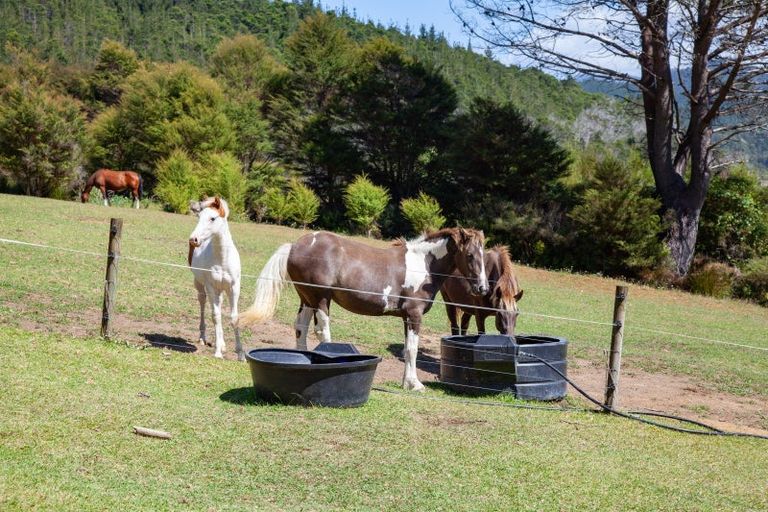 Photo of property in 896a Hikuai Settlement Road, Pauanui, Hikuai, 3579