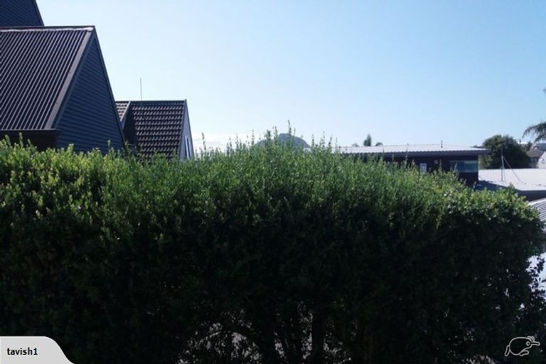 Photo of property in 52b Valley Road, Mount Maunganui, 3116